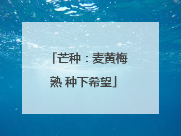 芒种：麦黄梅熟 种下希望