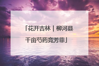 花开吉林｜柳河县千亩芍药竞芳菲