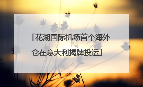 花湖国际机场首个海外仓在意大利揭牌投运