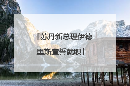 苏丹新总理伊德里斯宣誓就职