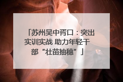 苏州吴中胥口：突出实训实战 助力年轻干部“壮苗抽穗”