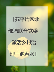苏平片区北部湾联合党委 激活乡村治理一池春水