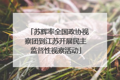 苏辉率全国政协视察团到江苏开展民主监督性视察活动