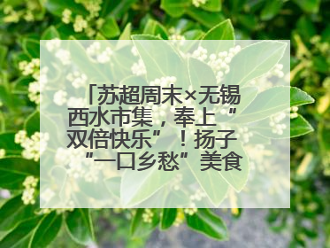 苏超周末×无锡西水市集，奉上“双倍快乐”！扬子“一口乡愁”美食别错过