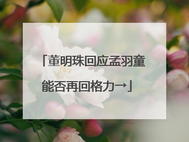 董明珠回应孟羽童能否再回格力→