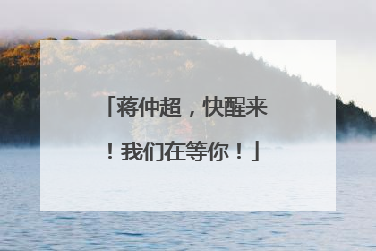 蒋仲超，快醒来！我们在等你！