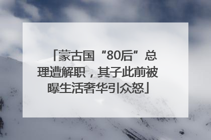 蒙古国“80后”总理遭解职，其子此前被曝生活奢华引众怒