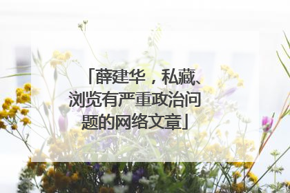 薛建华，私藏、浏览有严重政治问题的网络文章