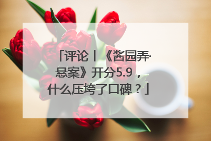 评论丨《酱园弄·悬案》开分5.9，什么压垮了口碑？