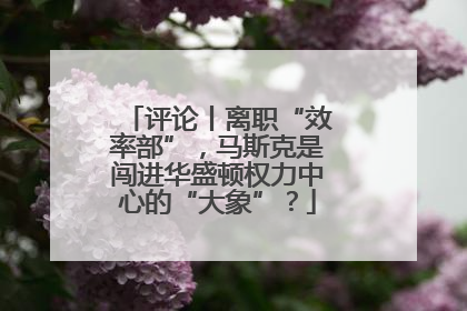 评论丨离职“效率部”，马斯克是闯进华盛顿权力中心的“大象”？