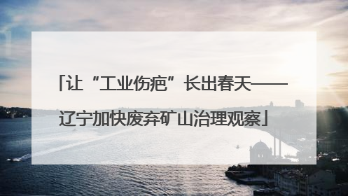 让“工业伤疤”长出春天——辽宁加快废弃矿山治理观察