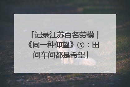 记录江苏百名劳模｜《同一种仰望》⑤：田间车间都是希望