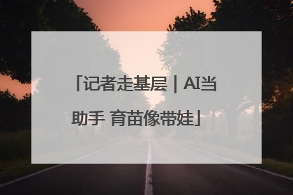 记者走基层｜AI当助手 育苗像带娃
