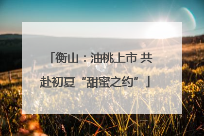 衡山：油桃上市 共赴初夏“甜蜜之约”