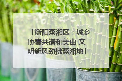 衡阳蒸湘区：城乡协奏共谱和美曲 文明新风劲拂蒸湘地