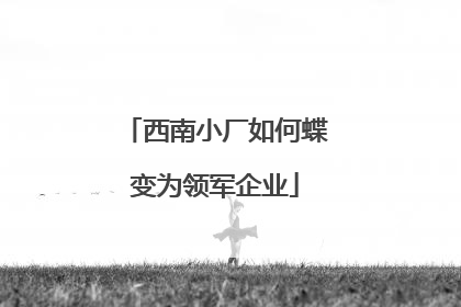 西南小厂如何蝶变为领军企业