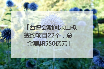 西博会期间乐山拟签约项目22个，总金额超550亿元