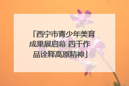 西宁市青少年美育成果展启幕 四千作品诠释高原精神