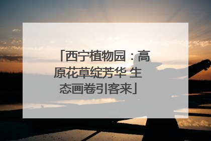西宁植物园：高原花草绽芳华 生态画卷引客来