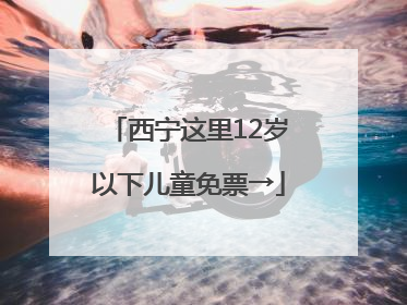 西宁这里12岁以下儿童免票→