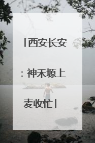 西安长安：神禾塬上麦收忙
