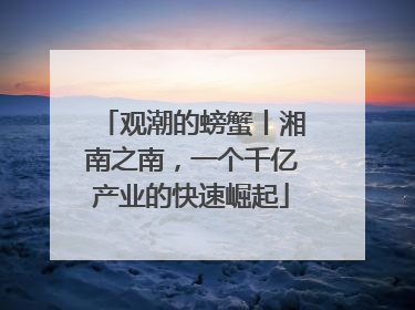 观潮的螃蟹丨湘南之南，一个千亿产业的快速崛起