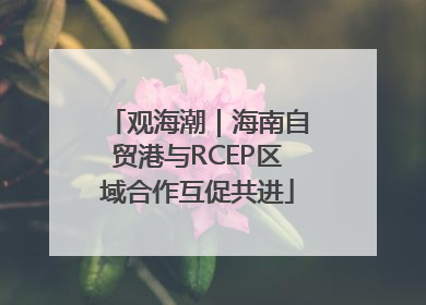 观海潮｜海南自贸港与RCEP区域合作互促共进