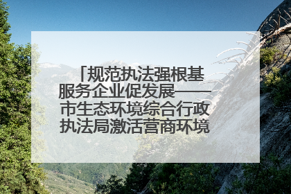 规范执法强根基 服务企业促发展——市生态环境综合行政执法局激活营商环境“绿色动能”