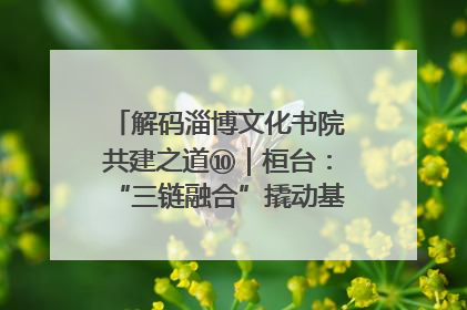 解码淄博文化书院共建之道⑩｜桓台：“三链融合”撬动基层文化共治新动能