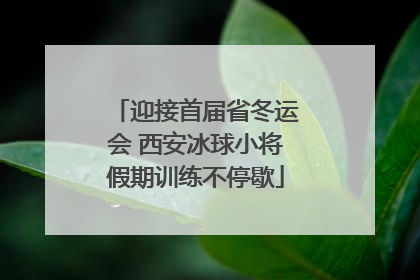 迎接首届省冬运会 西安冰球小将假期训练不停歇