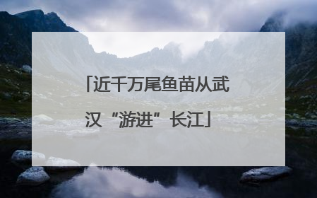 近千万尾鱼苗从武汉“游进”长江