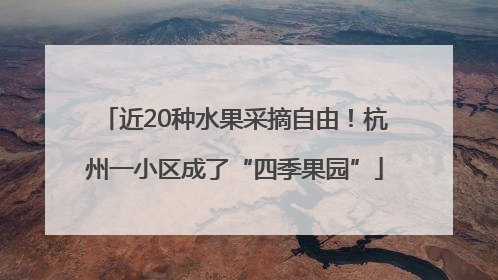近20种水果采摘自由！杭州一小区成了“四季果园”
