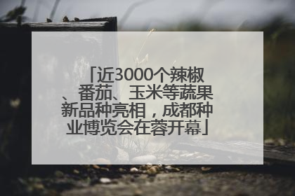 近3000个辣椒、番茄、玉米等蔬果新品种亮相，成都种业博览会在蓉开幕