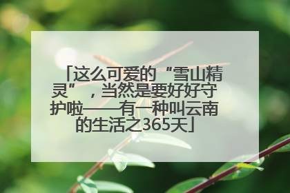 这么可爱的“雪山精灵”，当然是要好好守护啦——有一种叫云南的生活之365天