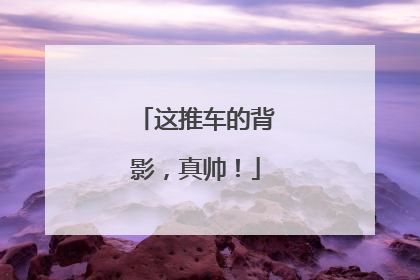 这推车的背影，真帅！