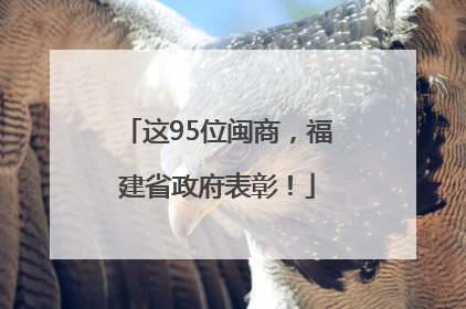 这95位闽商，福建省政府表彰！