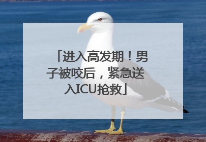 进入高发期！男子被咬后，紧急送入ICU抢救