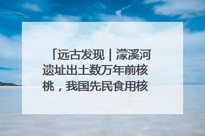 远古发现｜濛溪河遗址出土数万年前核桃，我国先民食用核桃历史大幅提前