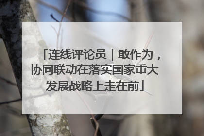 连线评论员｜敢作为，协同联动在落实国家重大发展战略上走在前