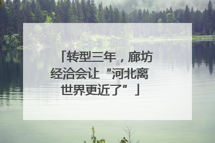 转型三年，廊坊经洽会让“河北离世界更近了”
