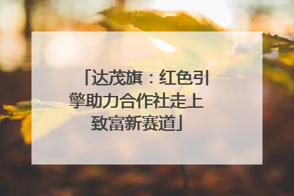 达茂旗：红色引擎助力合作社走上致富新赛道