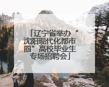 辽宁省举办“沈阳现代化都市圈”高校毕业生专场招聘会