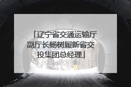 辽宁省交通运输厅副厅长杨树履新省交投集团总经理