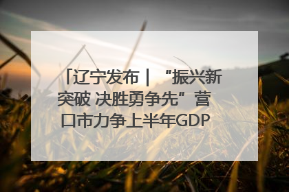 辽宁发布｜“振兴新突破 决胜勇争先”营口市力争上半年GDP增长6%左右