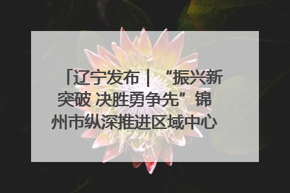 辽宁发布｜“振兴新突破 决胜勇争先”锦州市纵深推进区域中心城市建设 打造高质量发展新增长极