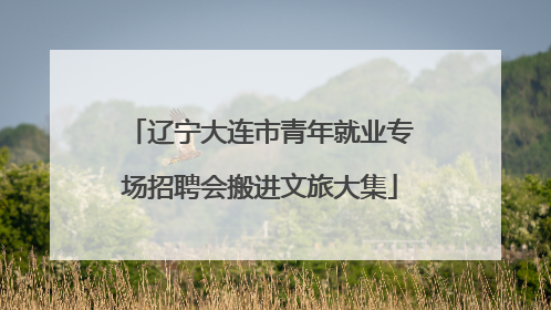 辽宁大连市青年就业专场招聘会搬进文旅大集