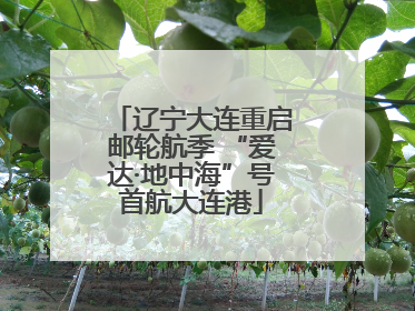 辽宁大连重启邮轮航季 “爱达·地中海”号首航大连港