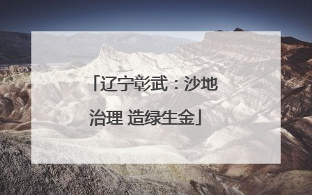 辽宁彰武：沙地治理 造绿生金