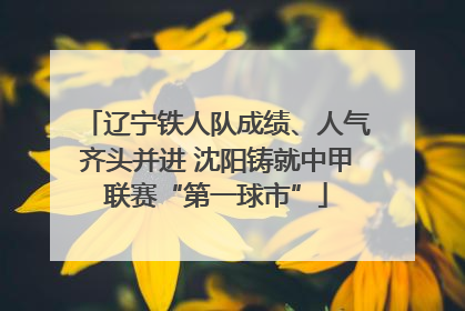 辽宁铁人队成绩、人气齐头并进 沈阳铸就中甲联赛“第一球市”