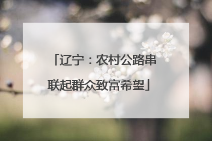 辽宁：农村公路串联起群众致富希望